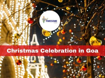 Christmas Celebration in Goa