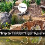 Pilibhit Tiger Reserve Trip